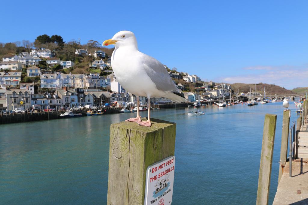 Portbyhan Hotel Looe Eksteriør billede